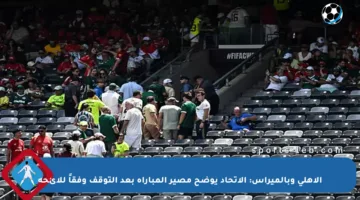 الأهلي وبالميراس: الاتحاد يوضح مصير المباراة بعد التوقف وفقاً للائحة